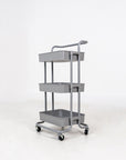 Steel Trolley